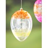 VBS Acrylic Eggs Transparent with Bore Set of 6 Each
