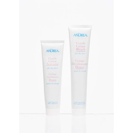 ANDREA Gentle Cream Bleach Face, Count 1, 1.5 oz (6610)