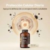 NAD+ Complex Unruled de 670mg para Energía y Longevidad Celular