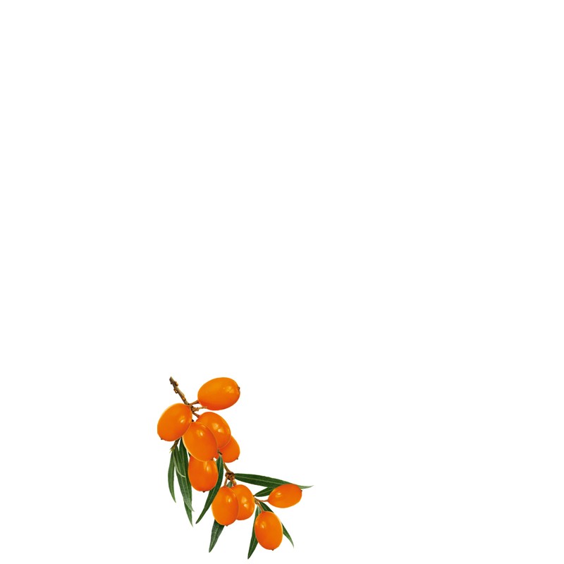 Cream Conditioner Moisture Balance 200ml