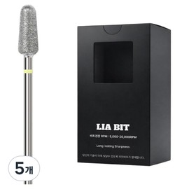 BESSIE Leabit Arcsoft XF nail bits, 5 pieces, silver / BESSIE 리아비트 아크소프트 XF 네일비트, 5개, 실버