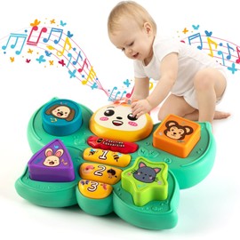 Felly Musik Spielzeug für 6-18 Monate, Baby Montessori Spielzeug mit Licht & Musik, Motorikspielzeug Lernspielzeug Babyspielzeug ab 1 Jahr für Mädchen Jungen Kleinkind, Schmetterling