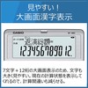 Casio Financial Calculator