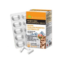 Maple Tree Enteric-coated lactic acid bacteria probiotics, 10 billion live lactic acid bacteria, individually packaged, 60 capsules / 장용성 유산균 프로바이오틱스 100억 생유산균 개별포장 60캡슐