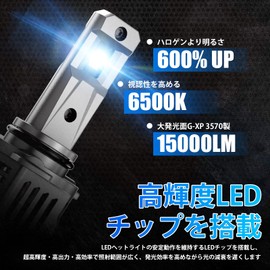 Novsight HB4 LED Headlights, Fog Lamp, 55W 12,000 Lumens, Non-Polarized, Good Cutoff Line, High-Quality LED Chip, High Brightness, 6,000K, DC9-32V, 360° Illumination, Set of 2 (For New Car Inspections)