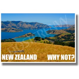 New Zealand - Why Not? - NEW World Travel Poster