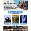 ROCKBROS Motorcycle Knee Protector, Motorcycle Protector, Knee Protection, Knee Protection,