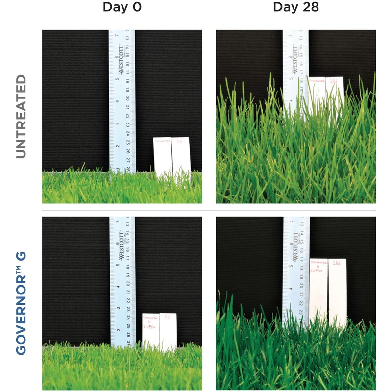 The Andersons Governor G Granular Lawn Growth Regulator - Covers