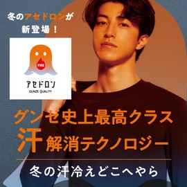 Gunze AGW004 Warm Socks, Fire Acedron, Moisture Wicking, Heat Generating, Warm, Long Length, Cold Protection, Men's, Grey, gray