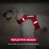 Sunraymascota Dog Harness for Puppy – Adjustable Reflective Easy Put