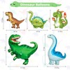 Amandir Dinosaur 3rd Birthday Party Decorations for Boys Girl, Foil
