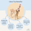PAWPOURRI Rope & Suede Toy for Adult Dogs, Puppies, Cats