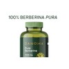 Berberina | 120 cápsulas | 1000 mg | DANOMA