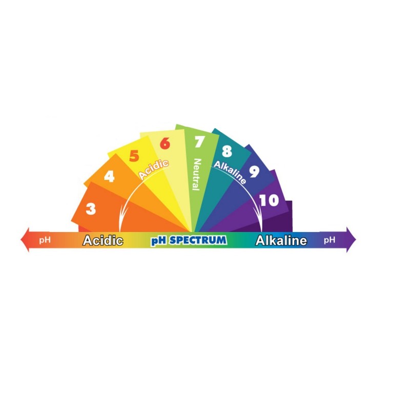 FILTRIACQUAITALIA pH Test Kit for Analyzing pH Meter 2 Pieces
