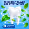 Oral-B Tooth and Gum Care Toothpaste Fresh Mint (Buy 2