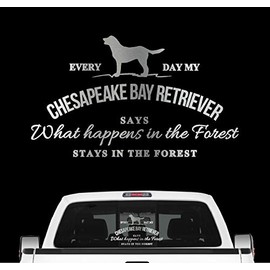 Siviwonder Chesapeake Bay Retriever Sticker Vintage Dog Sticker Film Chessie CBR Colour Silver Size 20 cm