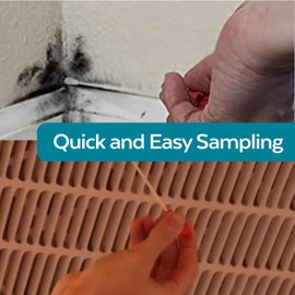 ImmunoLytics DIY Mold Test Kit - Easy to Use Precise Mold Detection and Identification - 3 Swab Kit For Direct Mold Testing