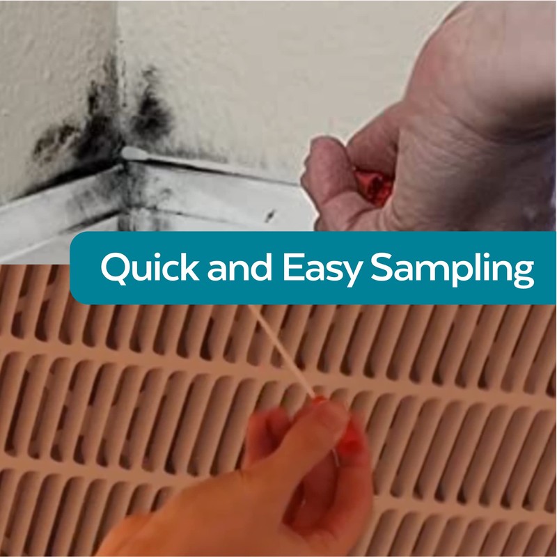 ImmunoLytics DIY Mold Test Kit - Easy to Use Precise