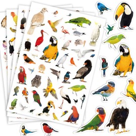 Bird Wild Animals Stickers Party Supplies 850 Counts Tropical Safari Jungle Bird Animals Stickers for Birthday Party Favors Water Bottle Scrapbook Stickers for Kids Birthday Party Gifts Decoration