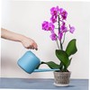 SUPVOX 5sets Clear Nursery Pots with Drainage Holes Transparent for