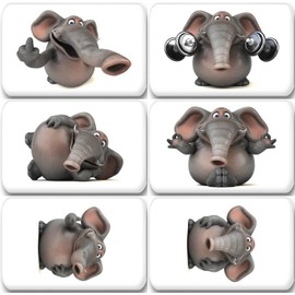 Merchandise for Fans 3D Elephant in Various Panels - 6 Rectangular Fridge Magnets 7 x 4.5 cm - 01 for Memo Board Notice Board Magnetic Whiteboard