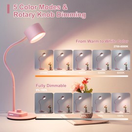 Cute Desk Lamp with USB C + A Charging Port, 5 Colors Dimmable Reading Lamps, Minimalist Pink Lamp for Kids, Eye Care Metal Bedside Table Lamp with Timer Flexible Gooseneck Desk Light for Home Office
