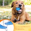 MUYYIKA Dog Toy, Ball, Sound Chewing Toy, Toothpaste, Natural Rubber,