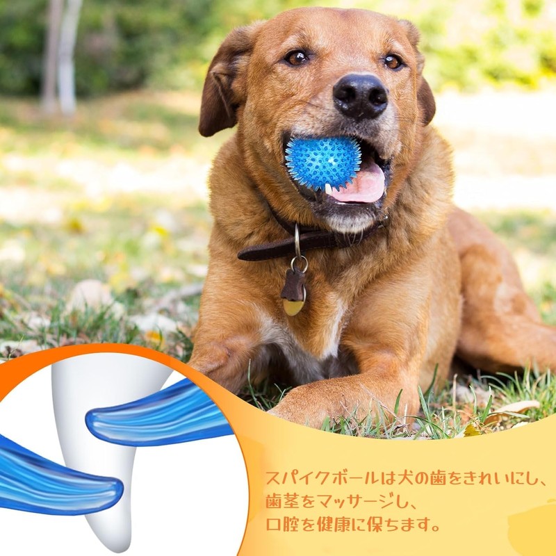 MUYYIKA Dog Toy, Ball, Sound Chewing Toy, Toothpaste, Natural Rubber,