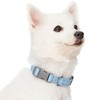 Blueberry Pet Essentials Pastel Color Reflective Matching Dog Collar and