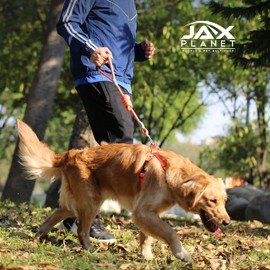 Jax Planet Dog Harness and Leash - Comfortable Leash and Harness for Small, Medium, Large Dogs - Perfect for Training, Includes D-Ring Harness & Leash Set[S]