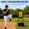 Malletra 9 Hole Baseball Pitching Net with Pitching Target, Adjustable