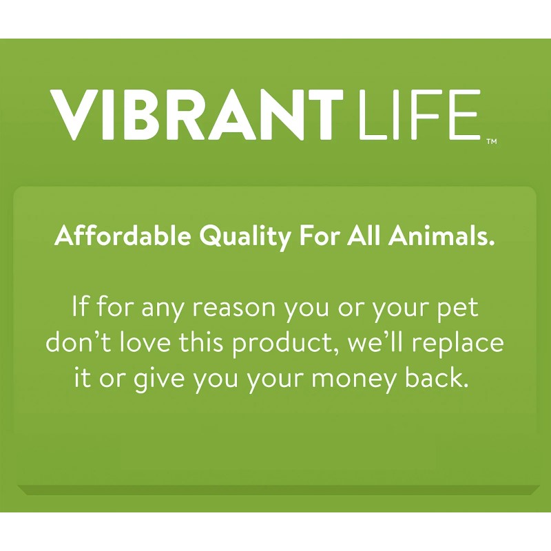 Vibrant Life Large Open Cat Litter Box