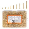 1660 Pieces M2 Small Screws Set, Small Wood Screws Set,