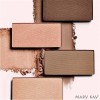 Mary Kay Chromafusion Honey Glow~ Cheek Color BLUSH~ HIGHLIGHTER~BR