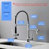 Fapully Kitchen Faucet with Pull Down Sprayer,Commercial Single Handle Kitchen