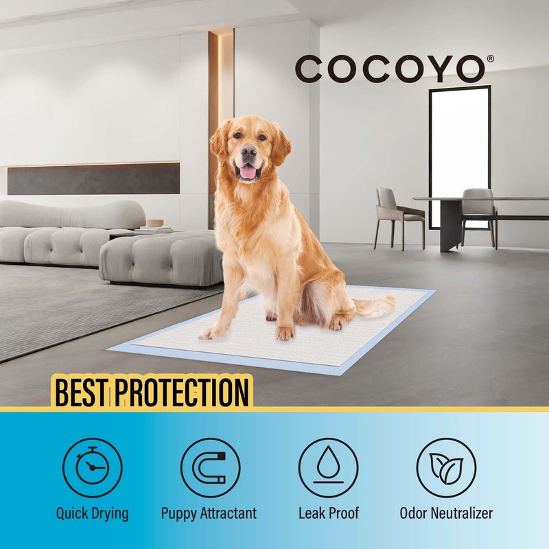COCOYO Best Value Training Pads 30 Count | Dog Pee