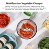Manual Meat Grinder Multifunction Handheld Vegetable Chopper Stainless Steel Garlic