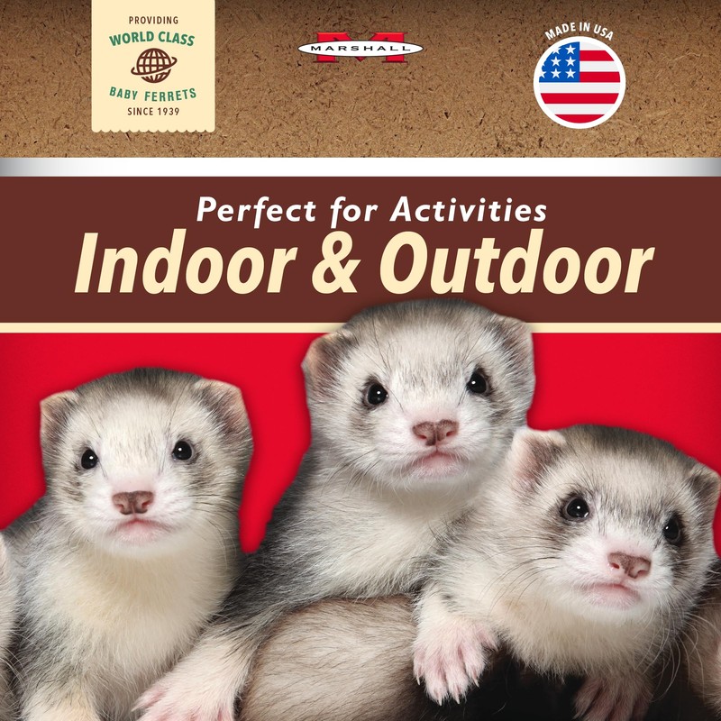 Marshall Pet Products Bell Collar, (Red)