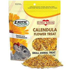 Calendula Flower Treat (1 oz.) - Healthy Natural Dried Flower Herbivore Treat - Chinchillas, Guinea Pigs, Rabbits, Prairie Dogs, Degus, Hamsters, Rats, Squirrels, Sugar Gliders & Other Small Pets