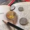Real Snake Shedding 《Good Luck Pocket Token》 Traditional Lucky Charm