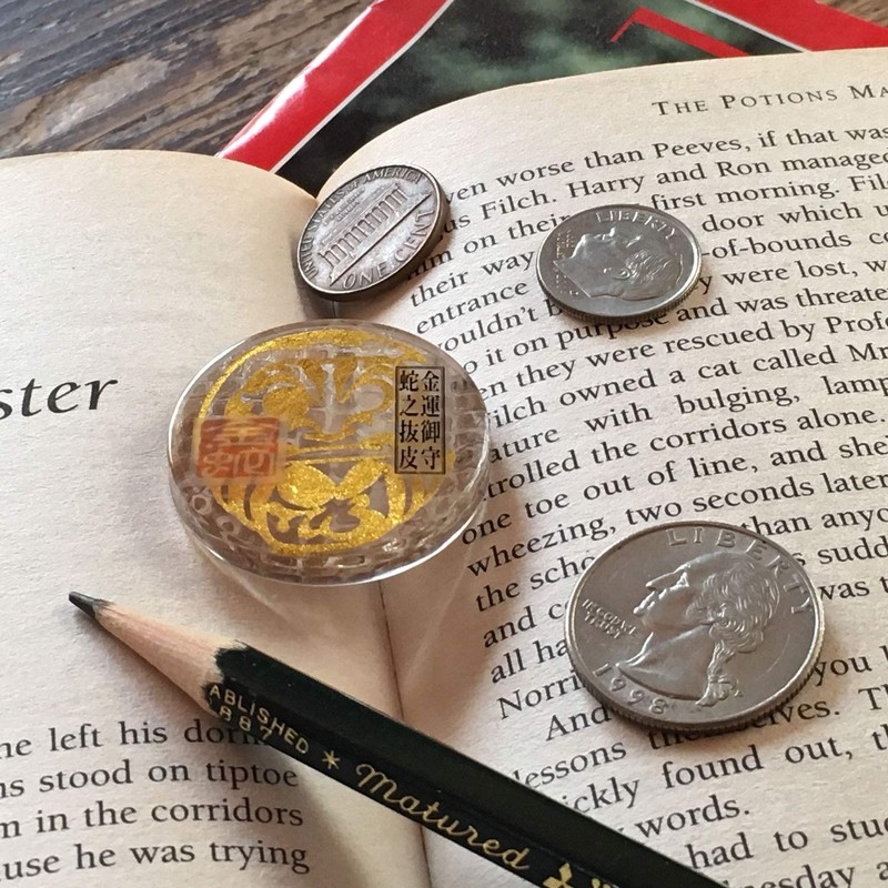 Real Snake Shedding 《Good Luck Pocket Token》 Traditional Lucky Charm