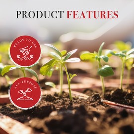 Michigan Peat 1550P Baccto Top Soil for Lawns, Gardens, and Raised Planting Beds with Reed Sedge, Peat, and Sand, 50 Pounds (6 Pack)