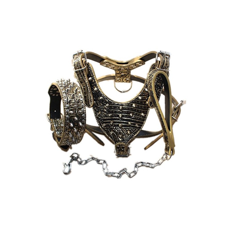 Haoyueer Leather Spiked Studded Medium & Large Dog Collars, Harnesses