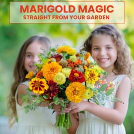 NatureZ Edge NatureZ Edge Marigold Seeds Mix, Over 5600 Seeds, Marigold Seeds for Planting Outdoors, Dainty Marietta, Petite French, Sparky French, and More