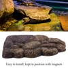 FTVOGUE Turtle Basking Floating Platform Magnetic Resin Island Aquarium Decor