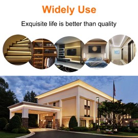 MALIIGAZA IP68 Waterproof 12V COB LED Strip, 16.4FT CRI>90 480LEDs/m 11W/M, 6000K Super Bright LED Tape for Outdoor Bathroom Swimming Pool Decoration (Without Power Supply)