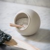 Garden Trading Salt Cellar with Birch Spoon in Chalk Ceramic