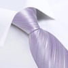 DiBanGu Mens Silk Necktie Solid Color Tie and Pocket Square
