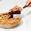 OXO Good Grips Black Nylon Flexible Pie Server (Pack of