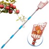 Adjustable Fruit Picker with Telescoping Handle and Basket, 5.5ft -